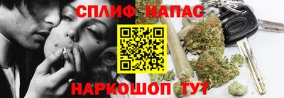 крисы Анапа