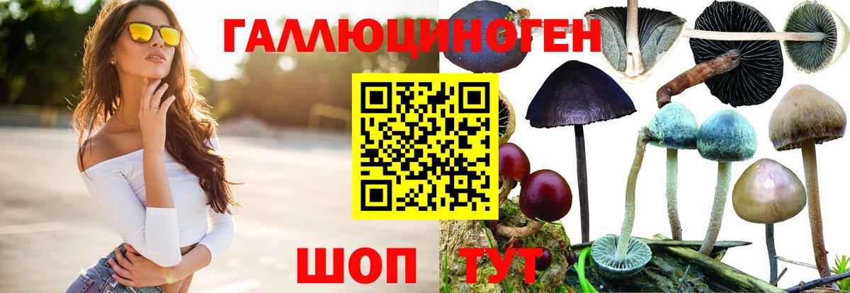 Псилоцибиновые грибы MAGIC MUSHROOMS  Вход с VPN  Сызрань  Галлюциногенные грибы мухоморы 